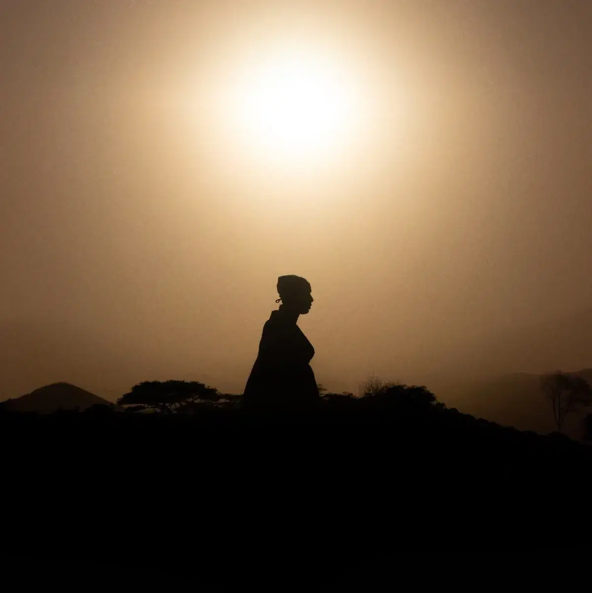 Potatoes In My Dream