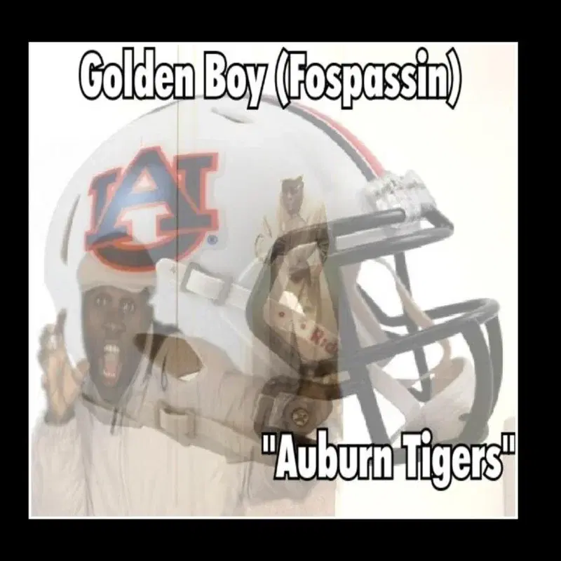 Auburn Tigers