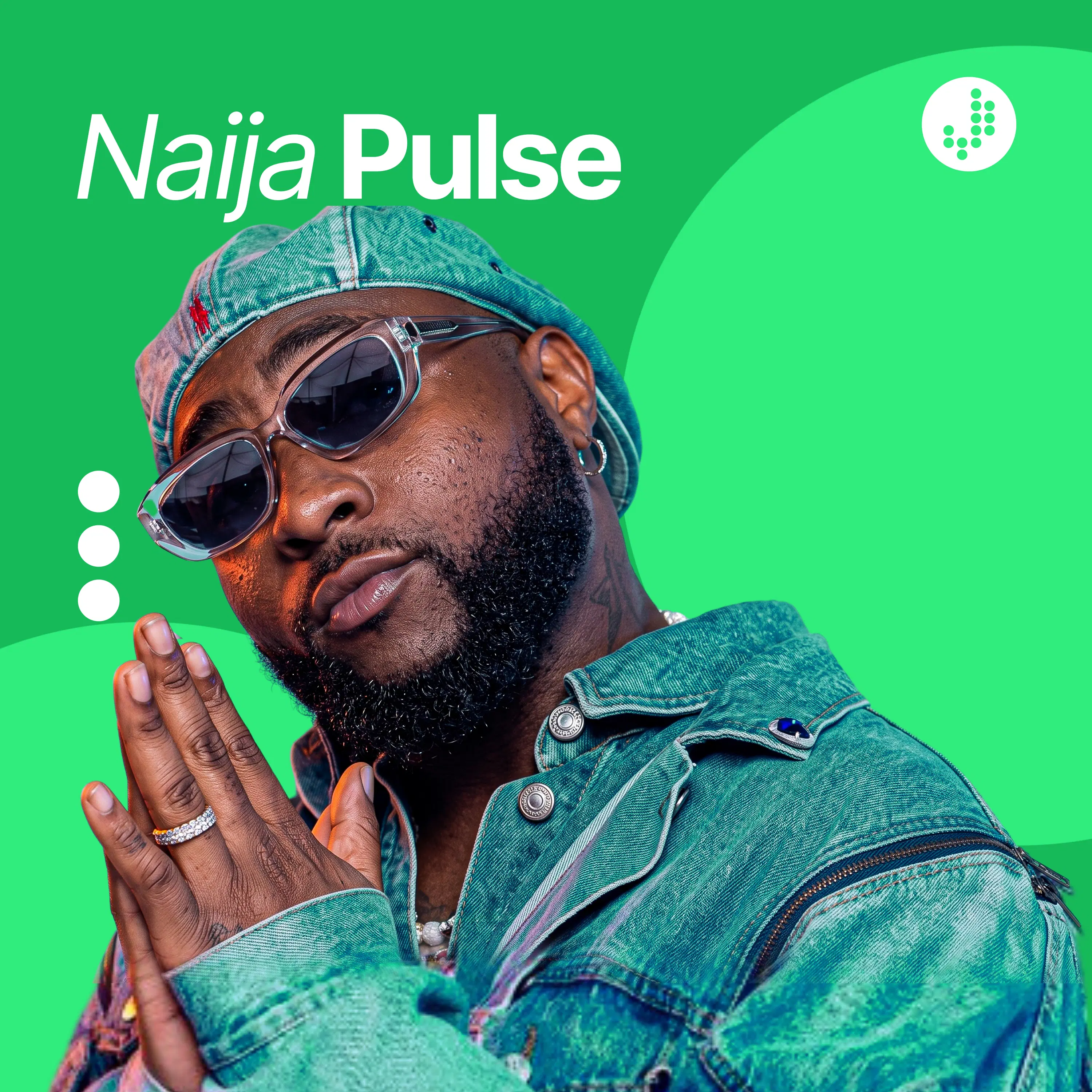 Naija Pulse