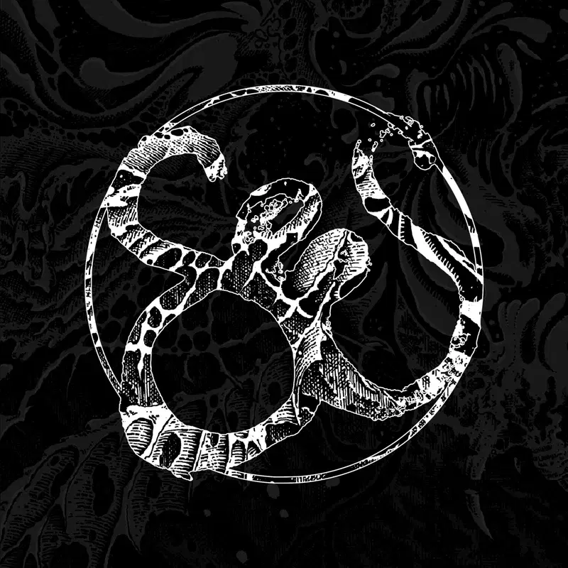 Tähden varjo