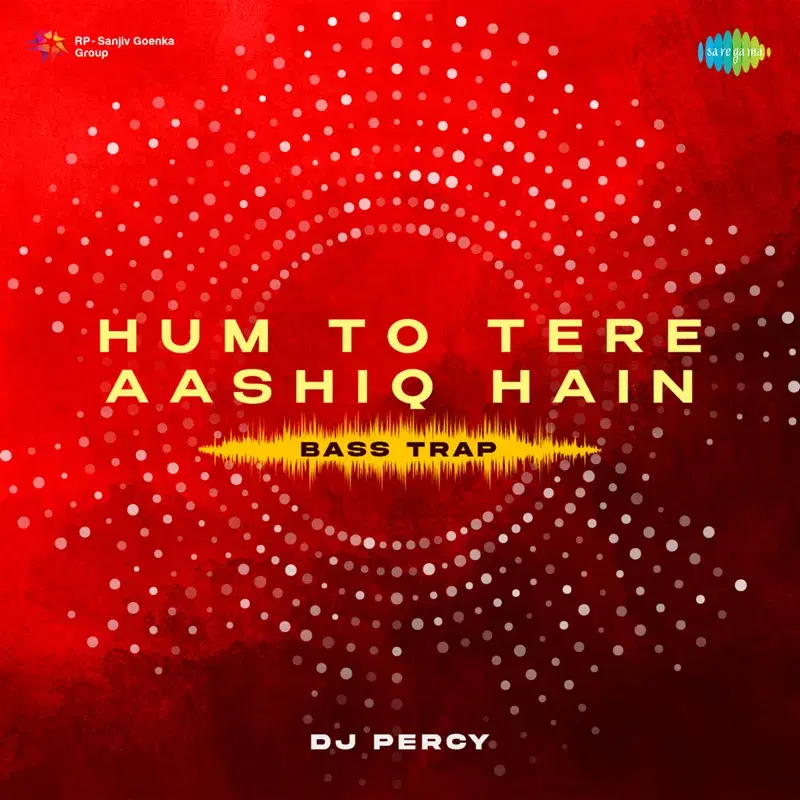 Hum to Tere Aashiq Hain