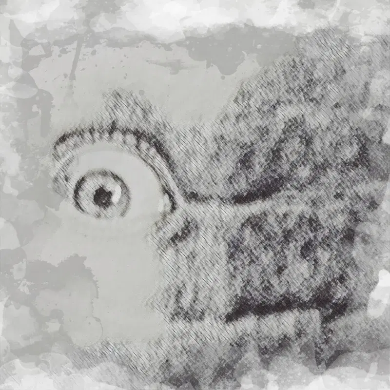 Restless Dreams