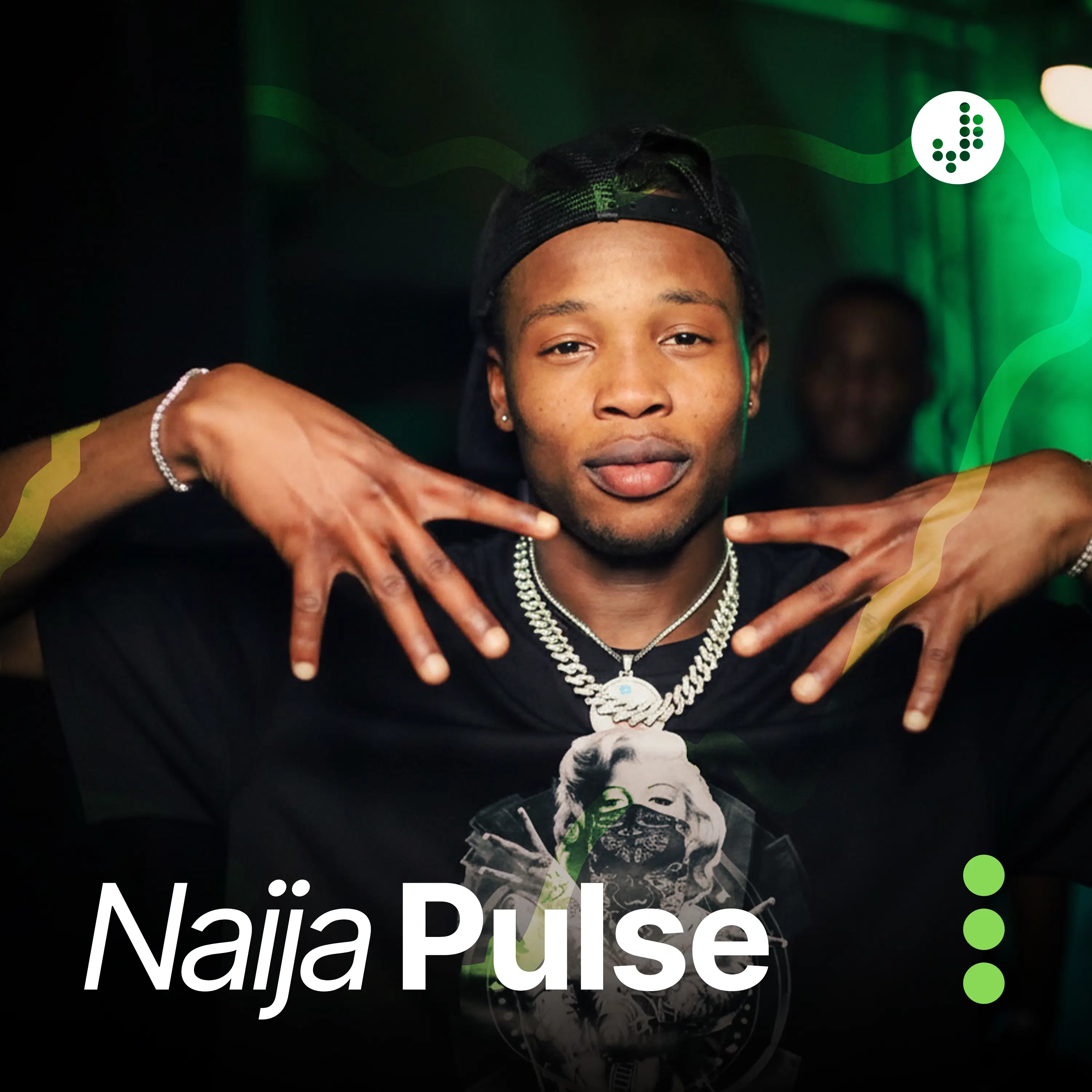 Naija Pulse