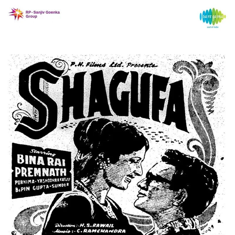 Chheen Sake to Chheen Le (From "Shagufa") - Single