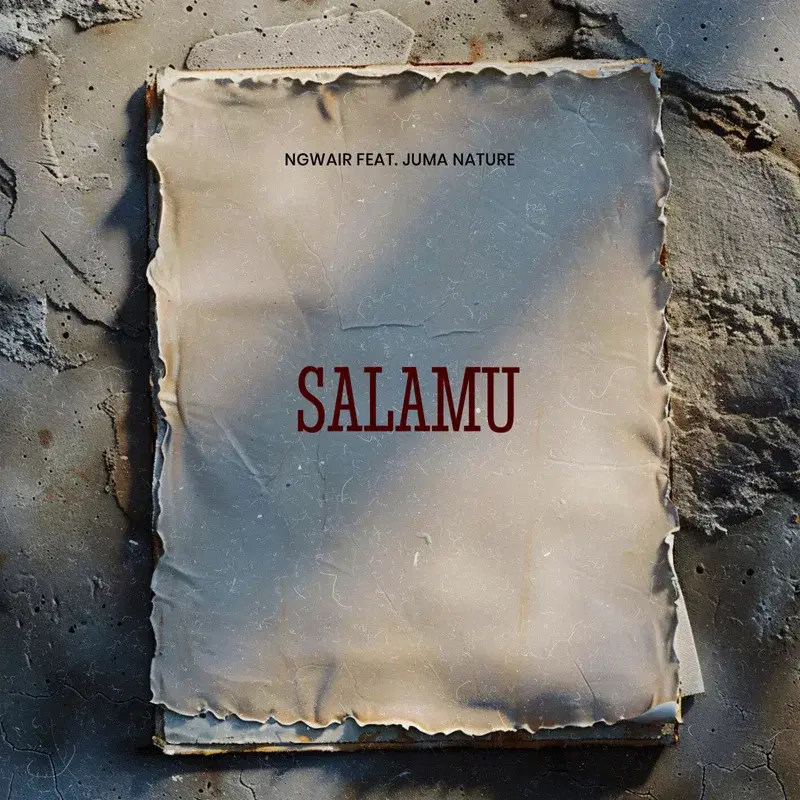 Salamu (Remix)