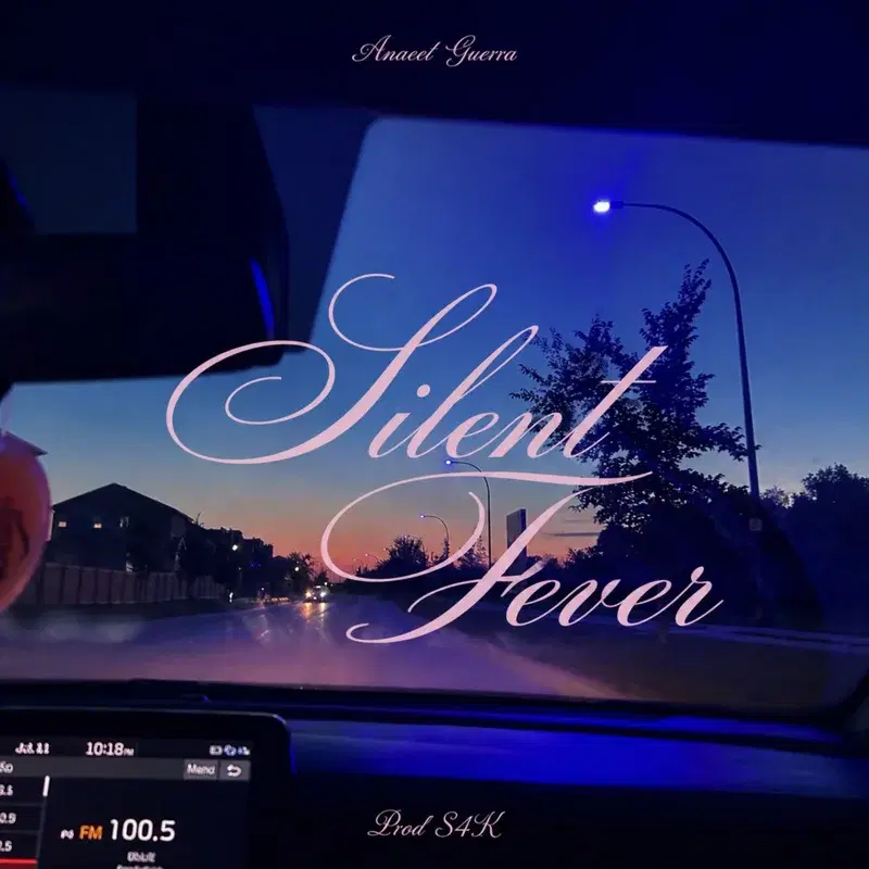 Silent Fever