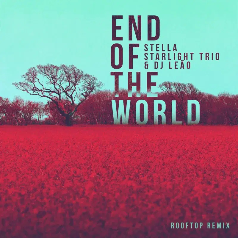 End of the World (Rooftop Remix)
