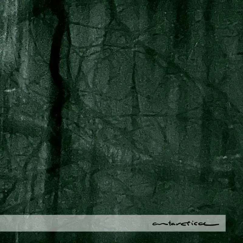 Forest III