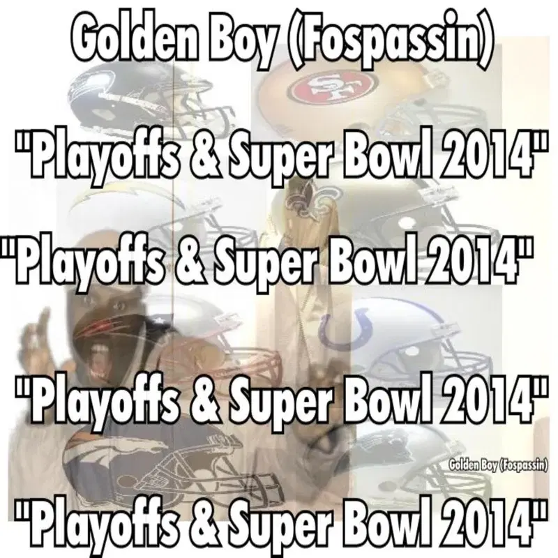 Playoffs & Super Bowl 2014