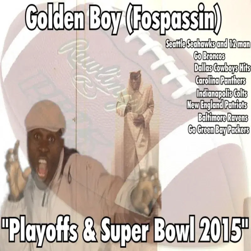 Playoffs & Super Bowl 2015