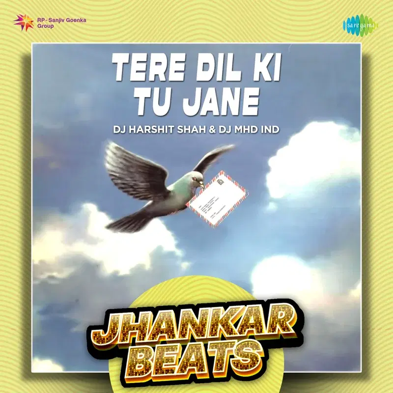 Tere Dil Ki Tu Jane