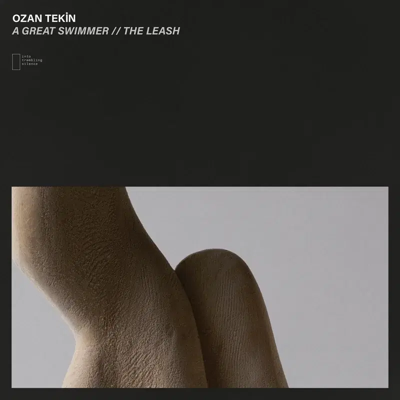 A Great Swimmer // The Leash