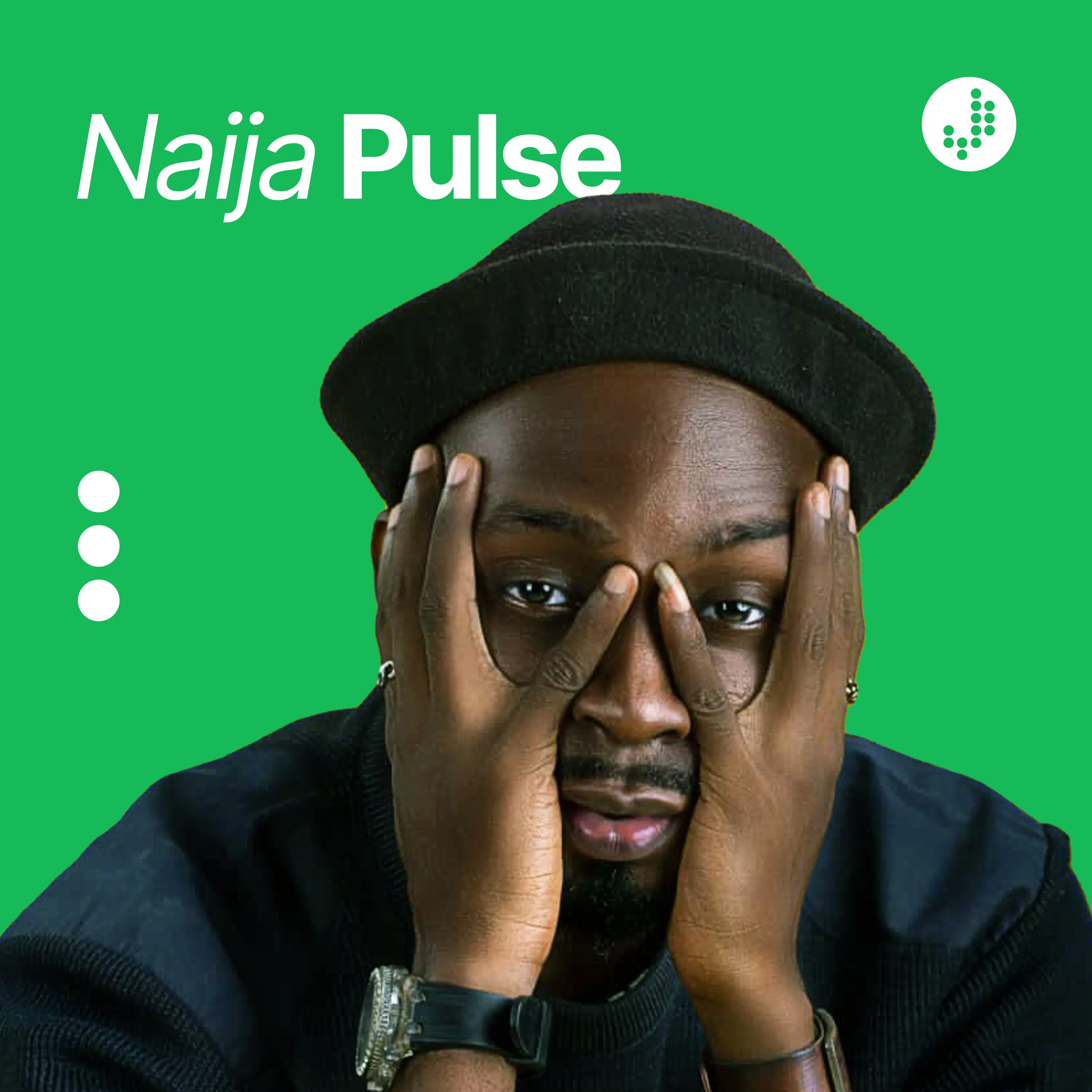 Naija Pulse