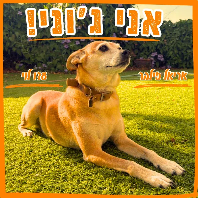 אני ג'וני!