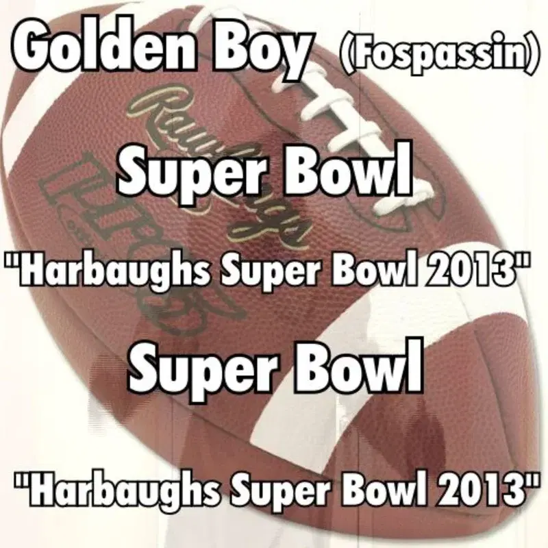 Harbaughs Super Bowl 2013