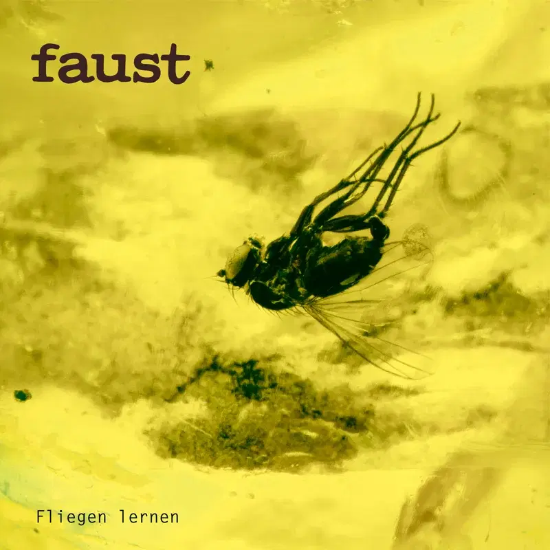 Fliegen lernen