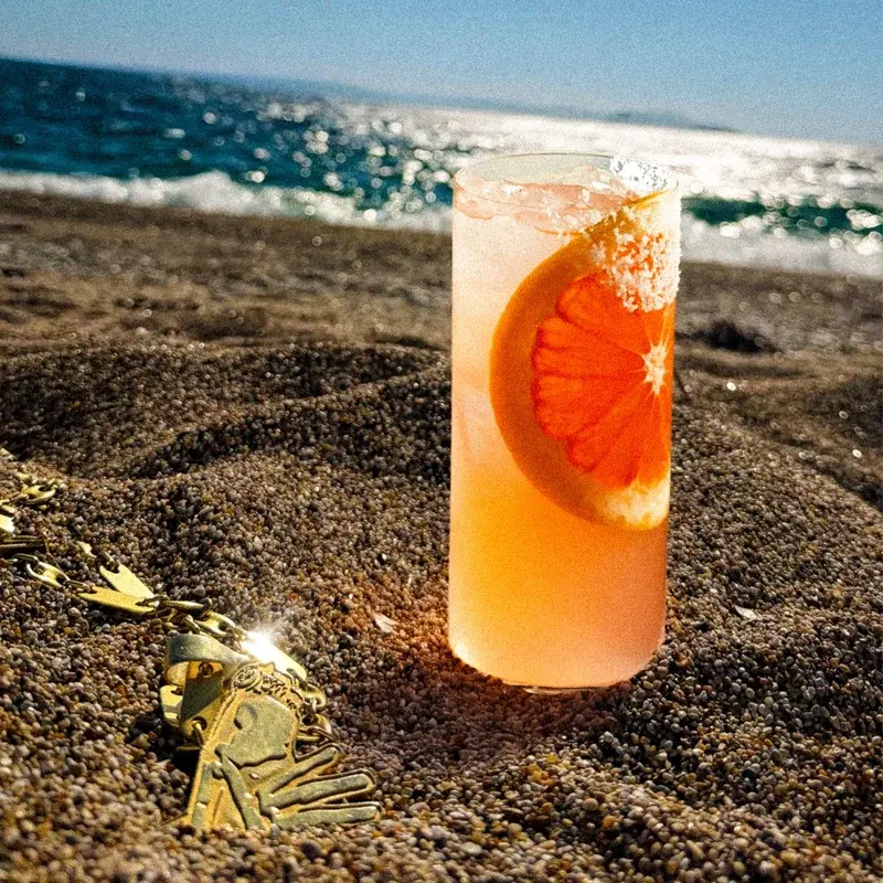 PALOMA