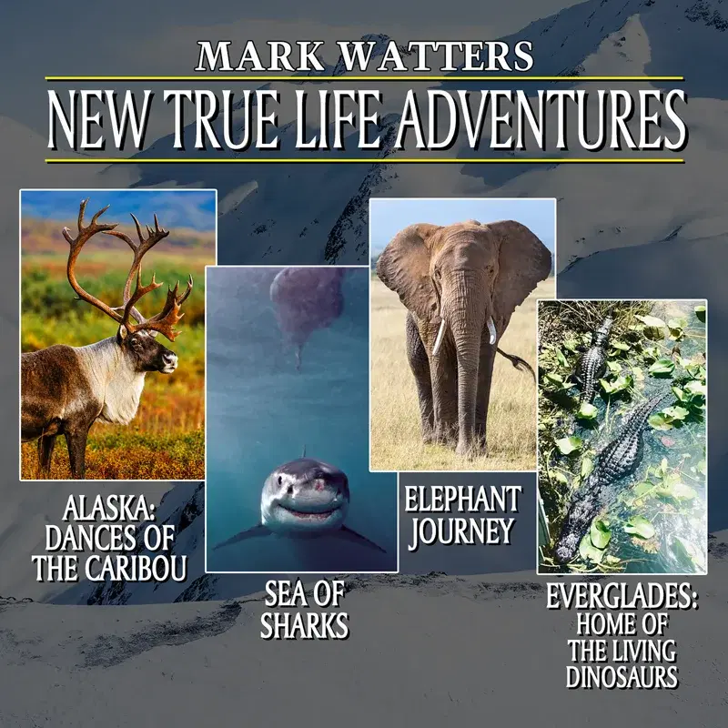 New True Life Adventures