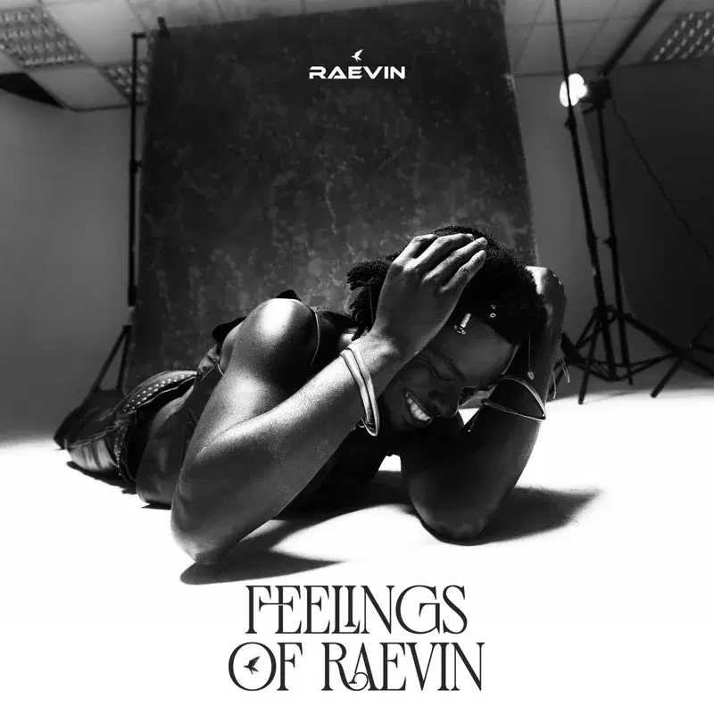 Feelings Of Raevin